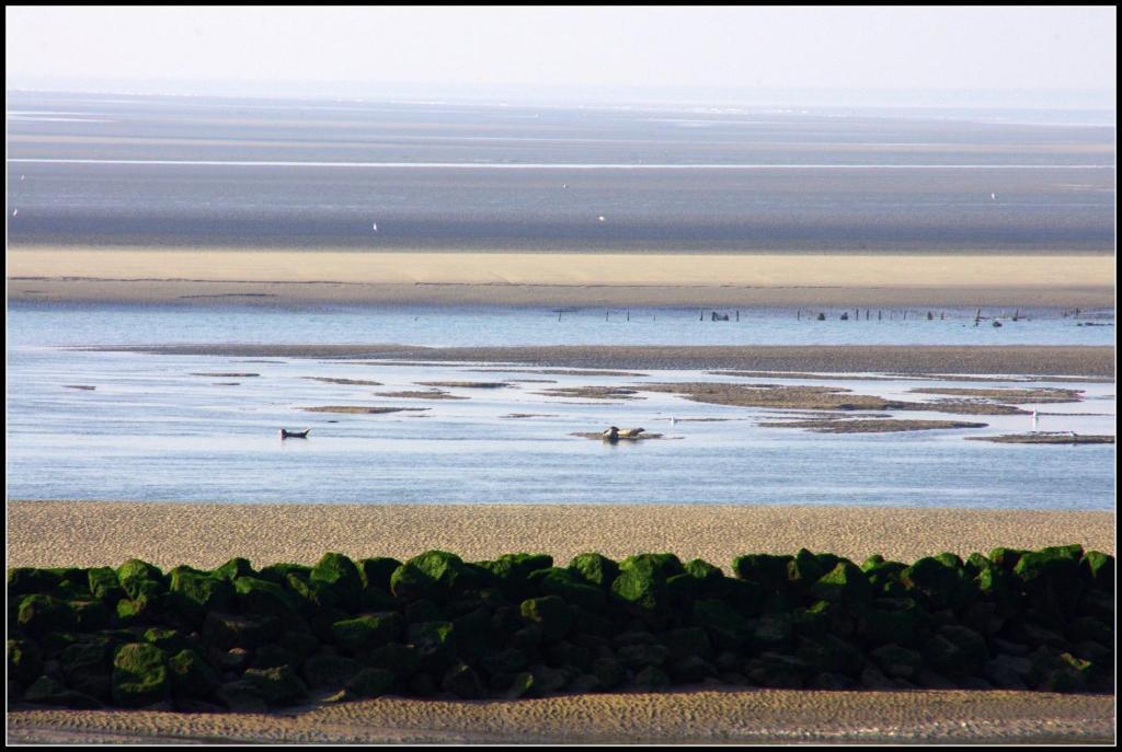 Logis Hotel & Restaurant "Au Gre Du Vent" Berck Exteriör bild